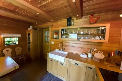 a kitchen with wooden walls and a sink in a cabin at Glamping Savinja in Ljubno