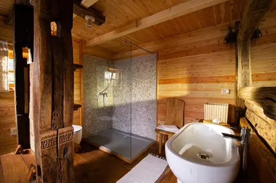a bathroom with a tub and a toilet and a shower at Glamping Savinja in Ljubno