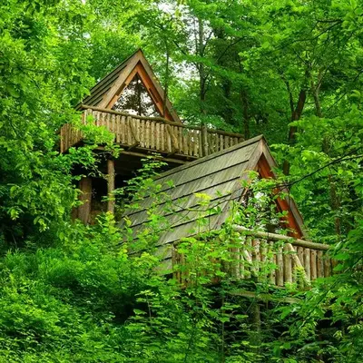 Glamping Savinja