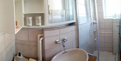 a bathroom with a sink and a toilet in it at Apartment Janja in Vojnik