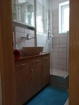 a bathroom with a sink and a shower at Apartment Janja in Vojnik