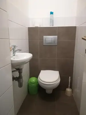 a small bathroom with a toilet and a sink at Family Guesthouse GreenSLO in Ljubljana