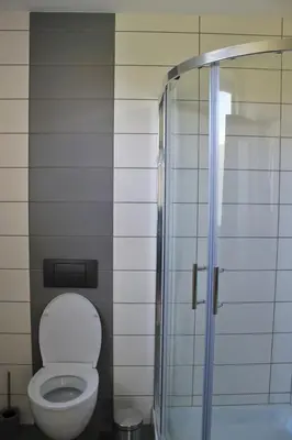a bathroom with a toilet and a glass shower at Yellow Dreamhouse in Postojna