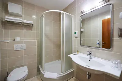 a bathroom with a sink and a shower and a toilet at Hotel Korosica in Šentjanž pri Dravogradu