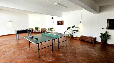 a large room with a ping pong table in it at Villa EMI in Zgornje Škofije