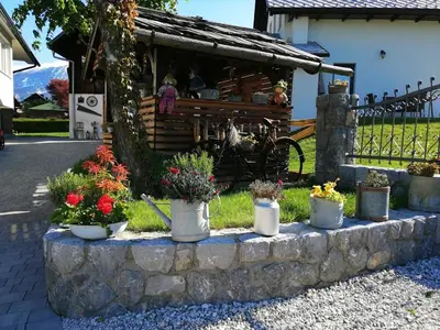 a bunch of potted plants on a stone wall at Barn House MM in Bled