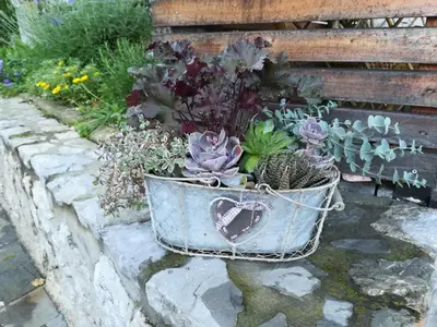 a metal bucket filled with plants on a stone wall at Barn House MM in Bled