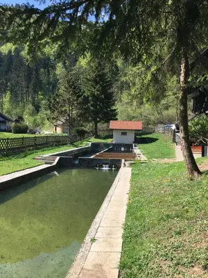 a small pond in a park with a building at Guest House Atelšek in Rečica ob Savinji