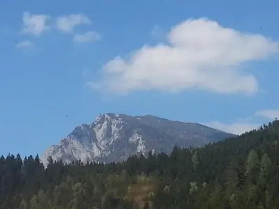 a mountain in the middle of a forest at Apartments BBI in Luče