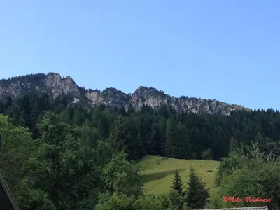 a mountain range with a green field and trees at Mountain View Apartments - Pr` Potovcn`k in Dovje