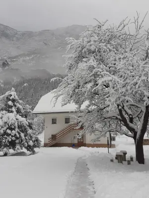 a snow covered tree in front of a house at Apartma pod Rožem in Soča