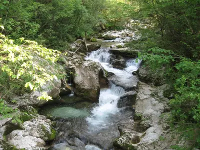 a stream of water flowing down a rocky river at Apartma pod Rožem in Soča