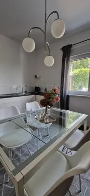 a glass table with chairs and a vase with flowers at Apartment Stella Danica in Čatež ob Savi