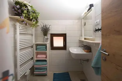 a small bathroom with a sink and a mirror at Apartment Ravnik in Bled