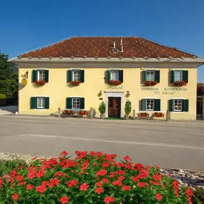 Guesthouse Avsenik