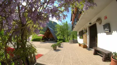 a courtyard of a building with a tree with purple flowers at Apartma Bel in Žaga