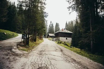 an empty road with a building on the side of a forest at Apartments Villa Vesna Pokljuka in Goreljek