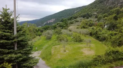 a view of a valley with trees and a mountain at House Čeh in Črni Kal