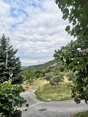 a winding road with trees on the side of a hill at House Čeh in Črni Kal