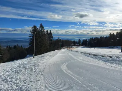 a snow covered road with tracks in the snow at Pohorje Village Wellbeing Resort - Forest Hotel Videc in Pohorje