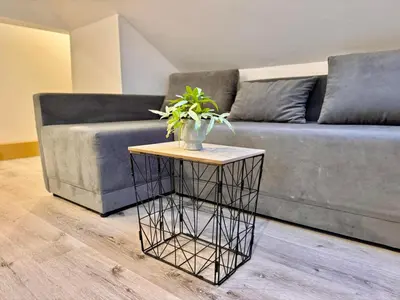 a living room with a couch and a table with a plant at Aria apartment in Mošnje