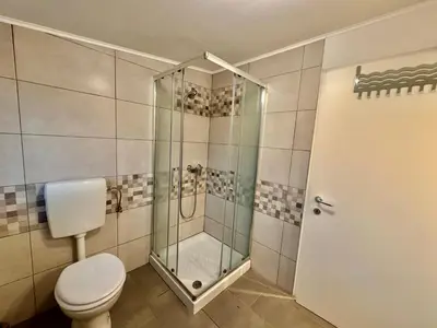 a bathroom with a toilet and a glass shower at Aria apartment in Mošnje