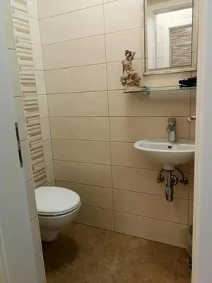 a bathroom with a toilet and a sink at Apartma AS in Lesce