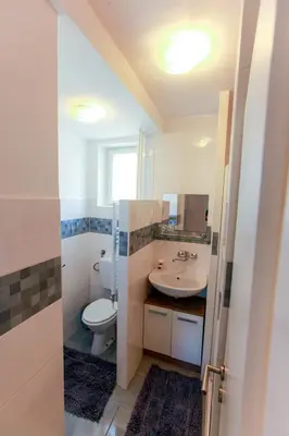 a bathroom with a toilet and a sink at Apartment Gondola in Maribor