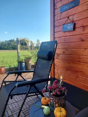 a chair sitting on a patio with pumpkins on a table at Apartma Žirovnik in Cerklje na Gorenjskem