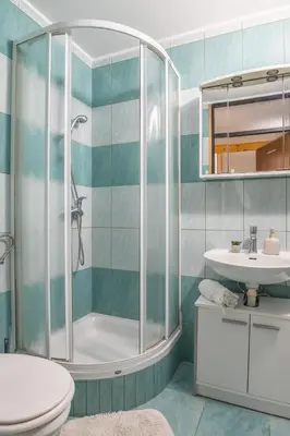 a bathroom with a shower and a toilet and a sink at Apartments Orel in Mozirje