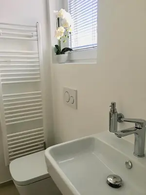 a bathroom with a sink and a toilet and a mirror at Sensei apartment in Ljubljana