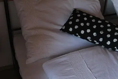 a black and white pillow sitting on top of a bed at Holiday Home Winzerhaus Eva in Špičnik