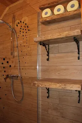a bathroom with a shower and two rolls of toilet paper at Holiday Home Winzerhaus Eva in Špičnik