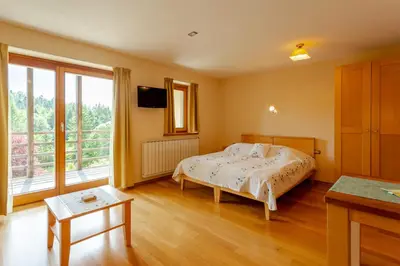 a bedroom with a bed and a large window at Posestvo Laz - The Laz Estate in Voglarji