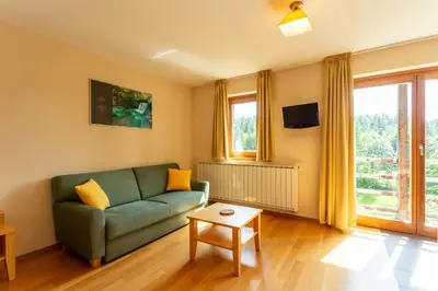 a living room with a green couch and a table at Posestvo Laz - The Laz Estate in Voglarji