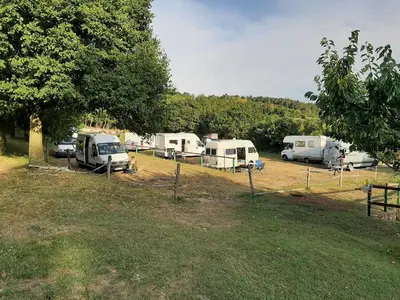 a group of camels parked in a field at Farm stay File in Slope