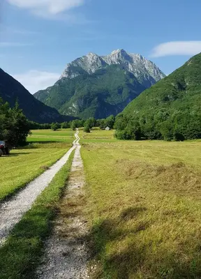 a dirt road in a field with mountains in the background at Apartment Montis Bovec in Bovec