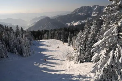 a group of people skiing down a snow covered slope at Alpska perla Apartments in Cerkno