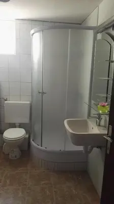 a bathroom with a shower and a toilet and a sink at Apartment Mojca near Bled in Zabreznica
