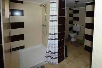 a bathroom with a shower and a toilet at Holiday house Žvan na Pokljuki in Bohinj