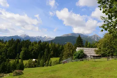a barn in a field with mountains in the background at Holiday house Žvan na Pokljuki in Bohinj
