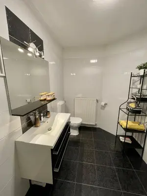 a bathroom with a sink and a toilet at Apartment Tina in Bovec