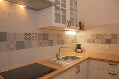 a kitchen with a sink and a counter at Apartments Pikon in Bohinj