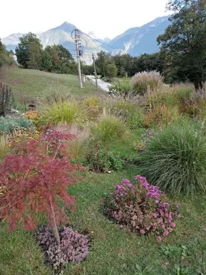 a field of flowers with mountains in the background at Apartment Vida in Bovec
