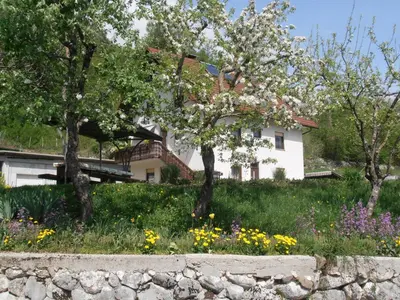 a house with trees and flowers in front of it at Apartment Vida in Bovec