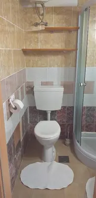 a bathroom with a toilet and a shower at Apartment Beautiful Črni Kal in Črni Kal