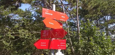 a bunch of red signs on a pole with trees at Apartment Beautiful Črni Kal in Črni Kal