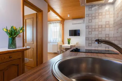 a kitchen with a stainless steel sink in a room at Holiday Lake in Bled