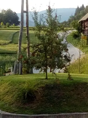 a tree in the middle of a field with a road at Apartment Visak in Bled