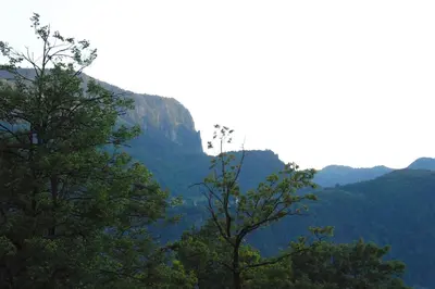 a view of the mountains with trees in the foreground at Apartment Visak in Bled